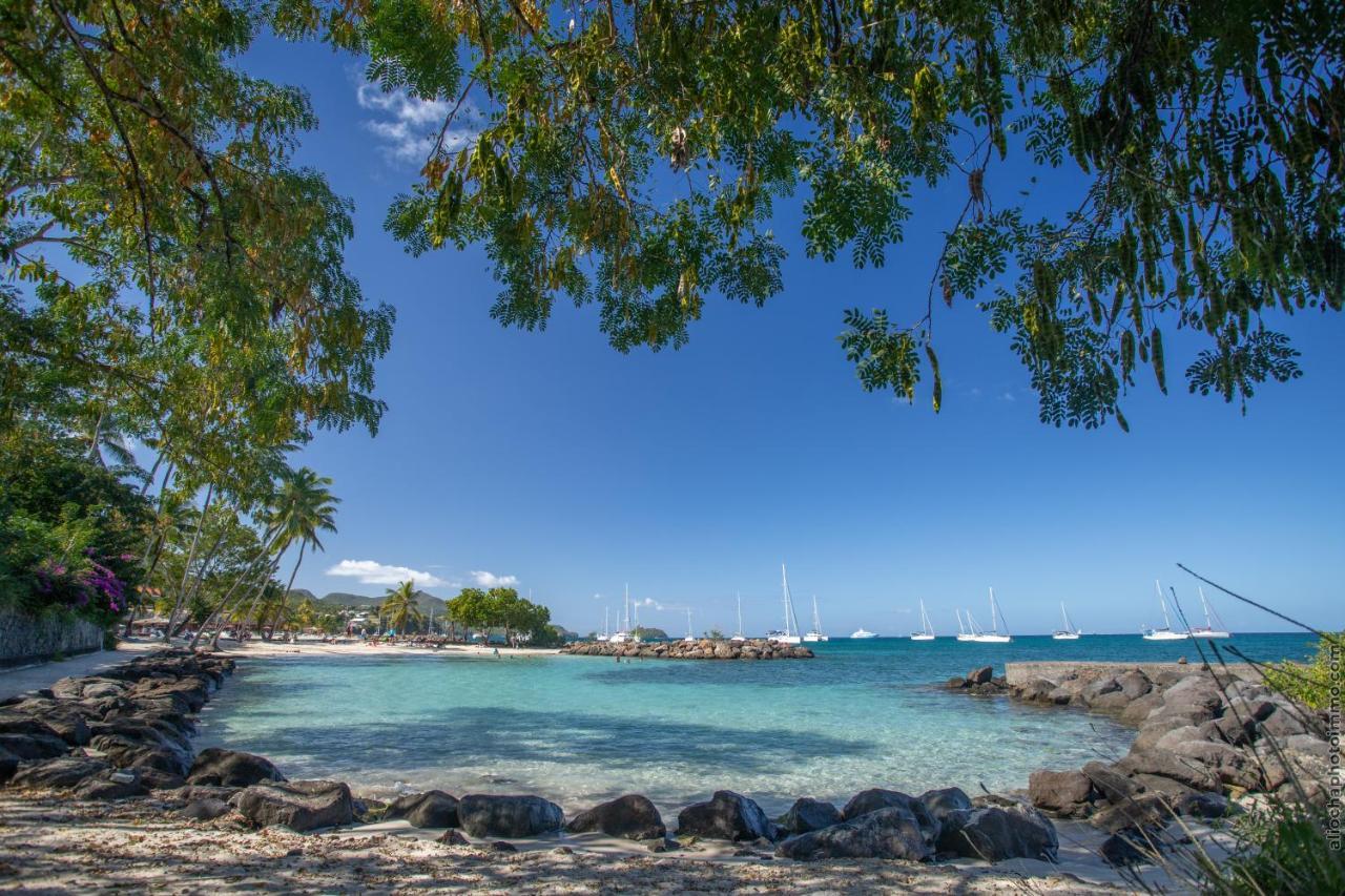 T2 Pitaya, Trois-Ilets Vue Mer Les Trois-Ilets Dış mekan fotoğraf